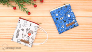 Read more about the article DIY Face Mask Pouch