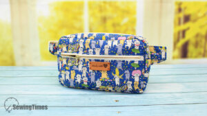 Read more about the article DIY Everyday Belt Bag