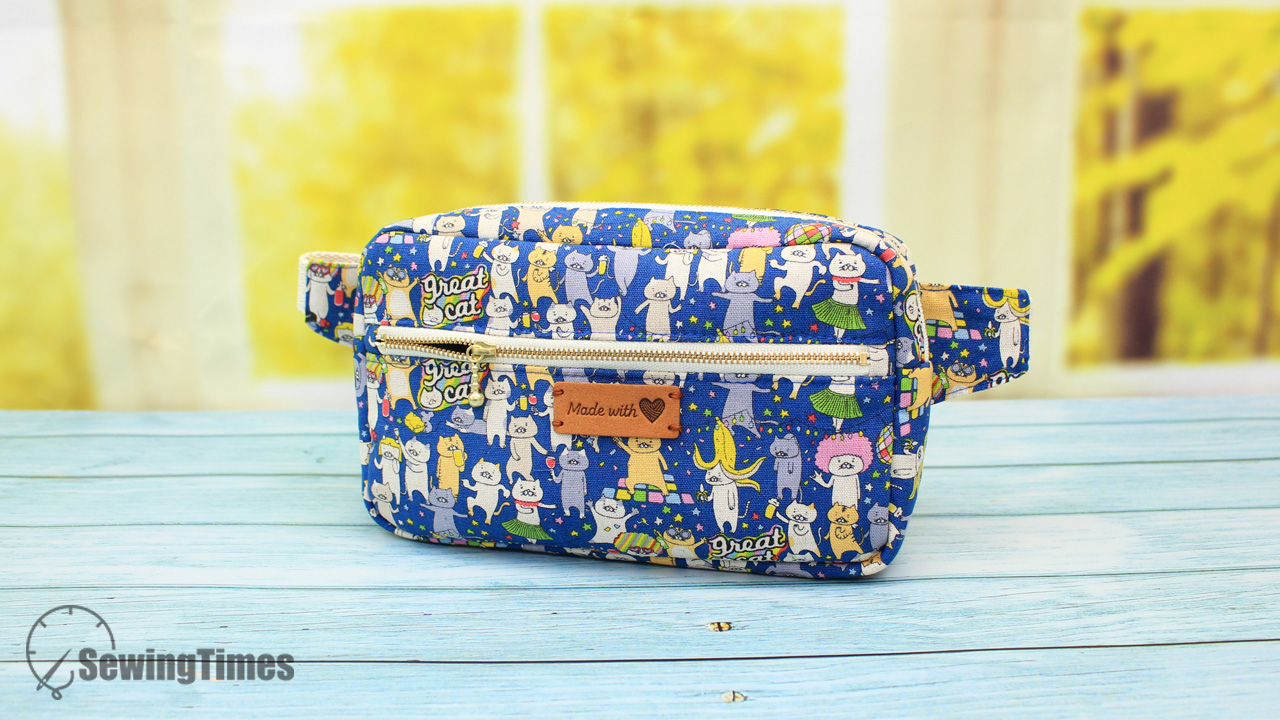 Read more about the article DIY Everyday Belt Bag