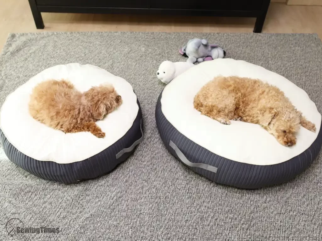dogcushion_sewingtimes_04